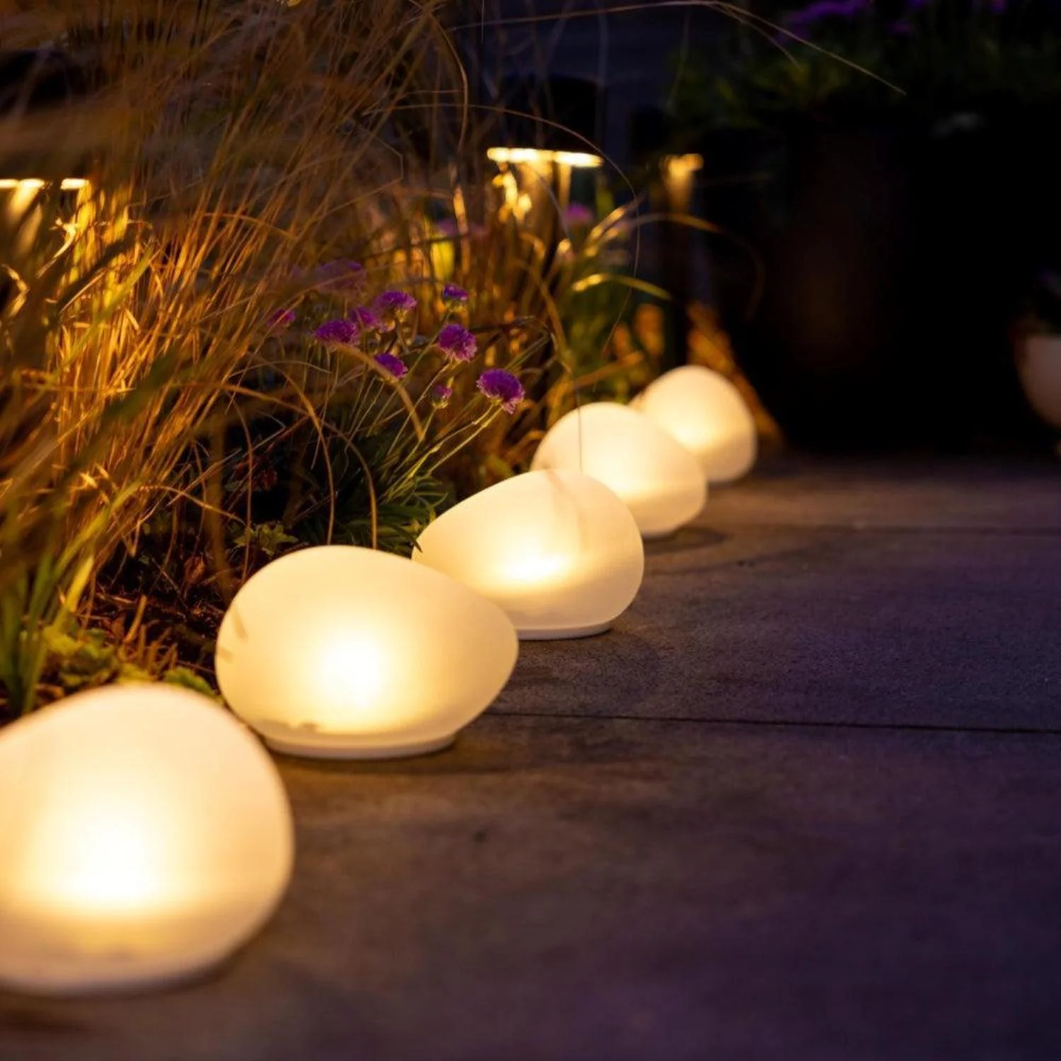 2 PCS – Starter Glow