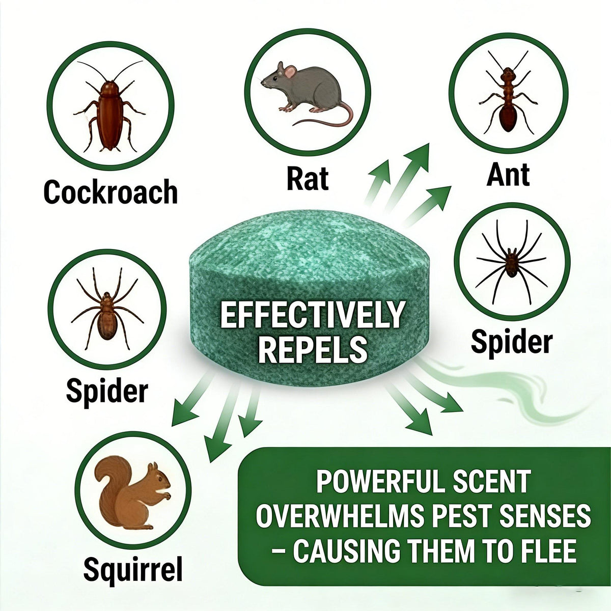12-Pack Popular Natural Rodent Repellent Balls